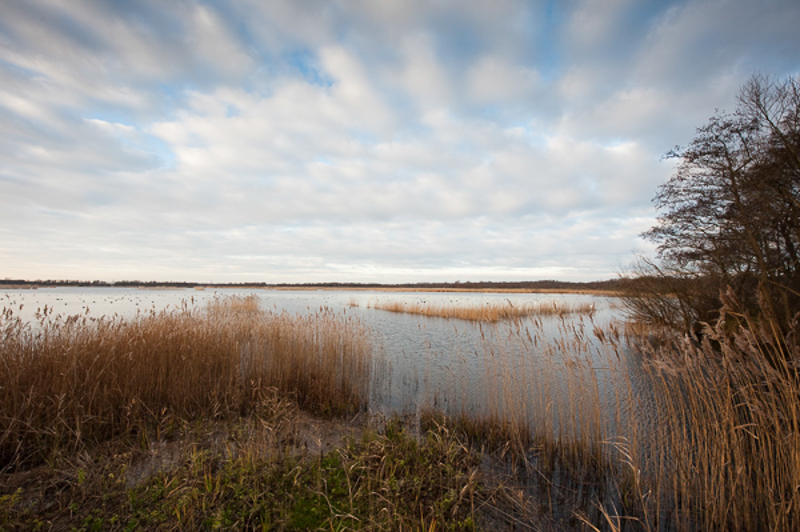 Naardermeer